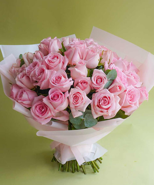 Rosas Premium